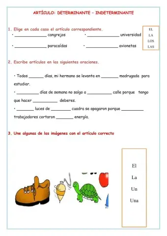 El artículo determinante e indeterminante