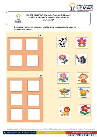 Representación de conjuntos