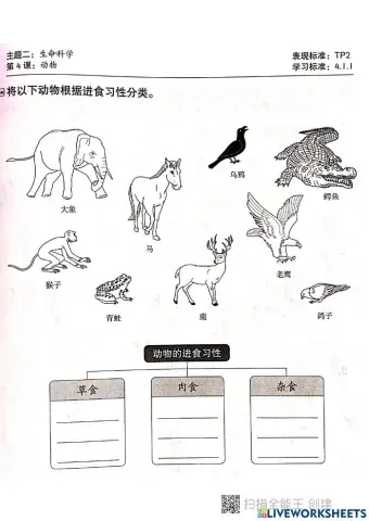 动物的进食习惯