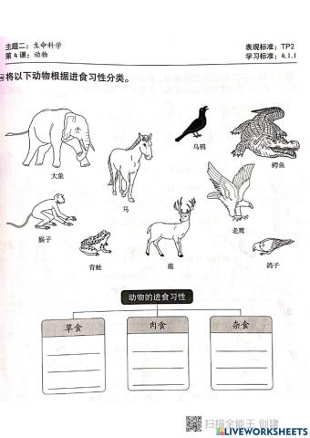 动物的进食习惯