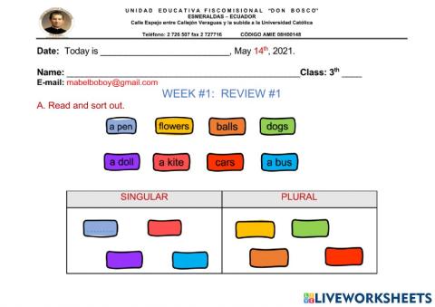 Review 2 class activity  1-singular-plural NOUNS