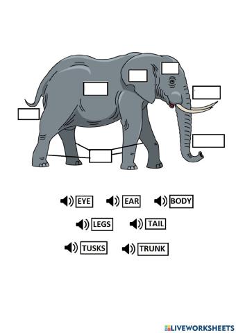 Elephant body parts drag and drop