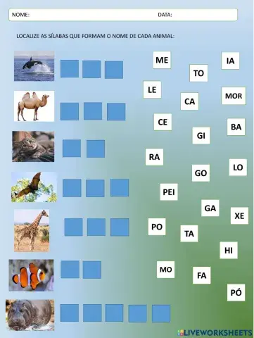 Organize as sílabas