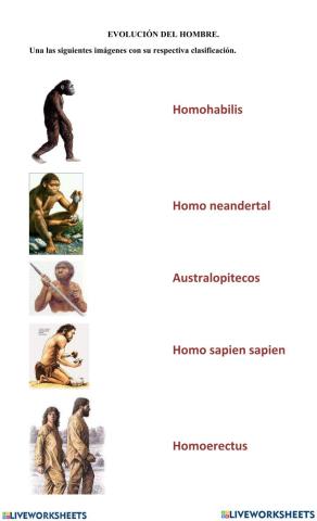 La evolución del hombre