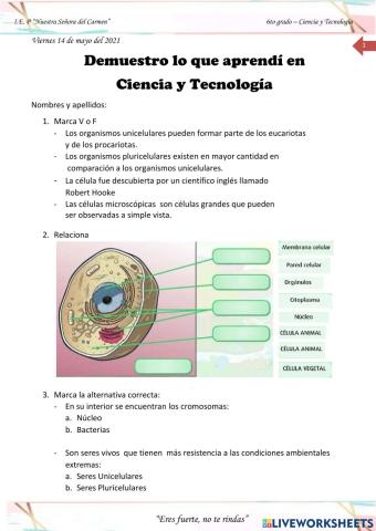 Ciencia