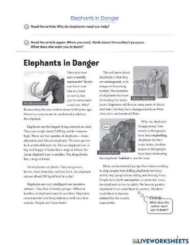 Elephants in Danger