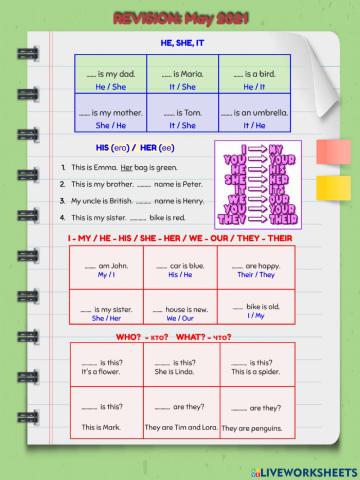 ESL Test for 3-4 Grade