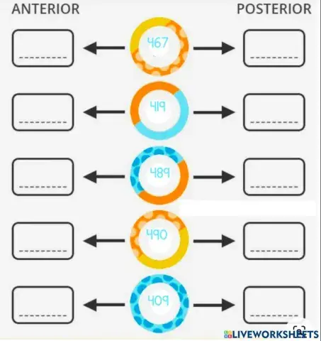 Numero anterior y posterior