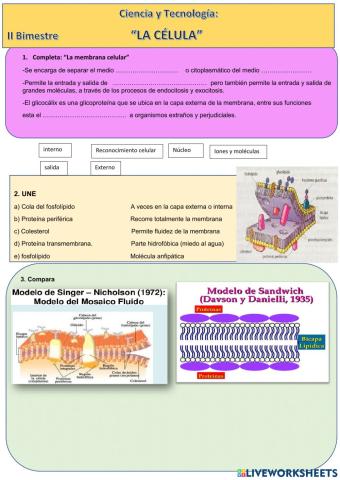 Ciencia y Tecnología 