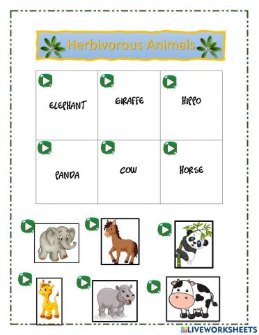 Herbivorous animals