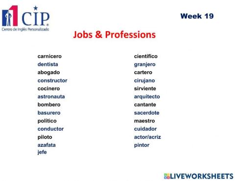 Jobs and Professions 1 Exam Week 19