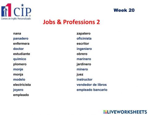 Jobs and Professions 2 Exam Week 20
