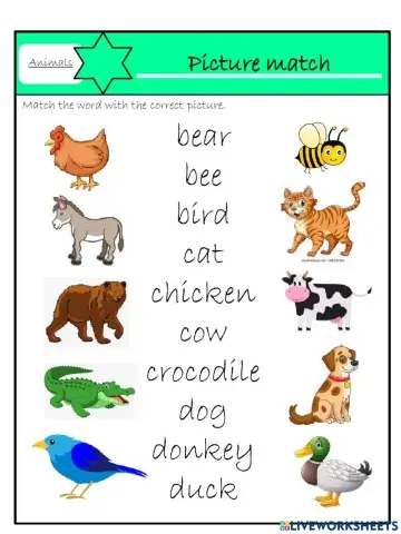 Starters animals - picture match