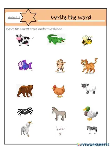 Starters animals - write the word