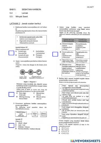 lemak dan minyak sawit