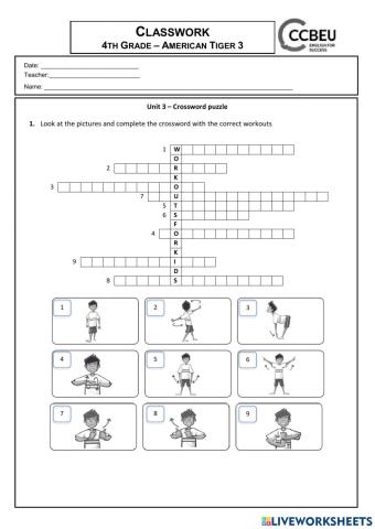 American Tiger 3- U 3 - Cressword puzzle - Workouts