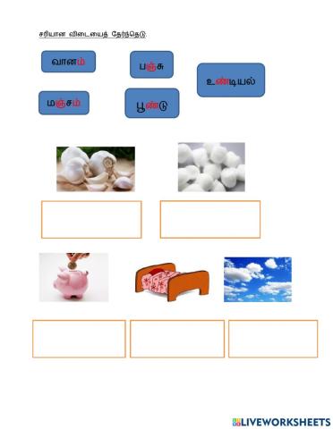 மெல்லினம்-ஆண்டு 1