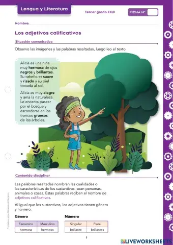 Adjetivos calificativos