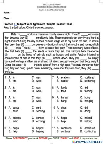 Subject Verb Agreement