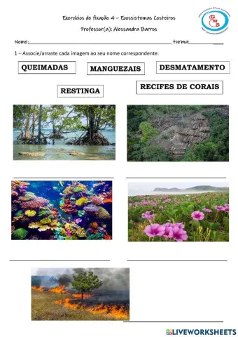 Ecossistemas costeiros