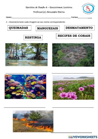 Ecossistemas costeiros