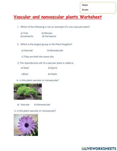 Vascular and non vascular plants