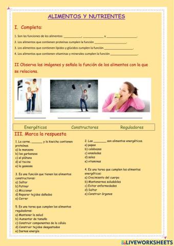 Alimentos y nutrientes