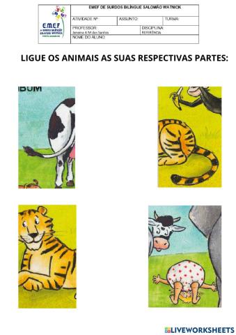 Ligue os animais a suas respectivas partes