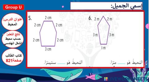 المحيط المستوى 1