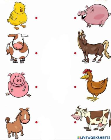 Animale de la ferma -  perechi