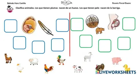 Clasifica: ovíparos y vivíparos