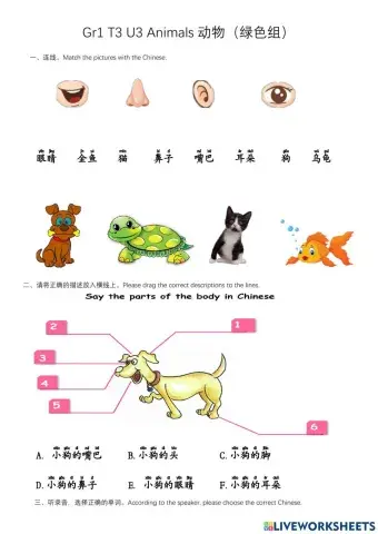 G1 T3 U3 Animals动物-Green绿色组