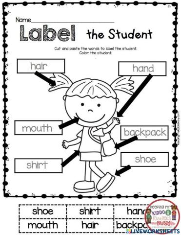 Label the student