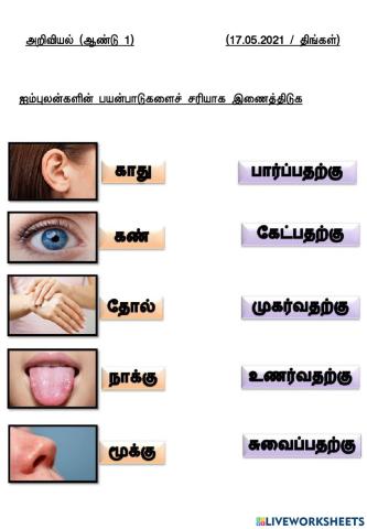 உற்றறிதல்