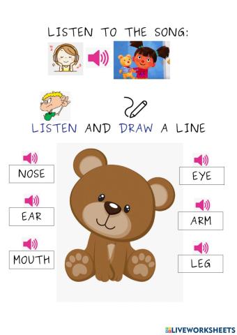 BODY PARTS teddy bear