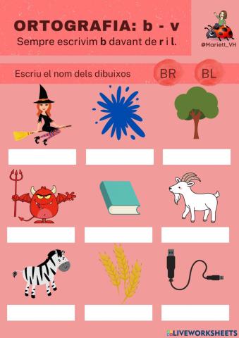 ORTOGRAFIA: BR i BL