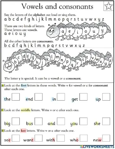 Vowels and consonants