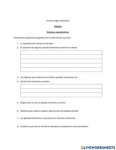 Sistema Reproductor Masculino y Femenio