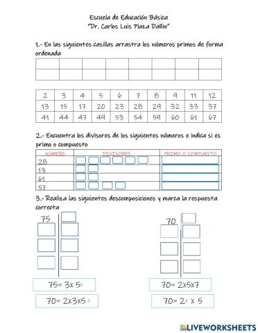 Prueba de Diagnóstico 7mo