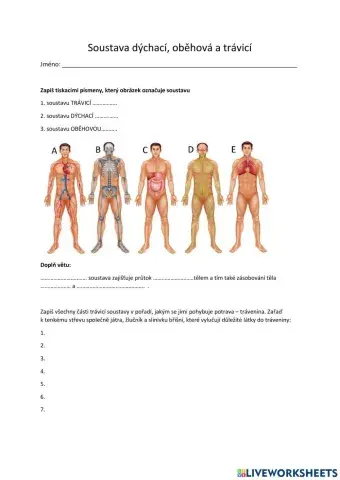 Člověk - soustava oběhová, dechová, trávicí