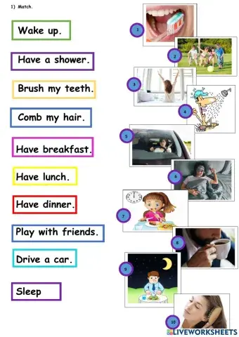 Routine Verbs