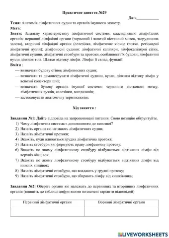 Практичне заняття №29