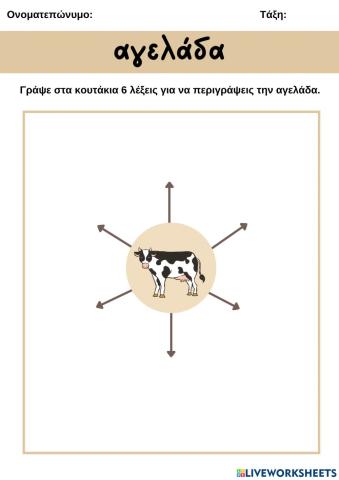 Φύλλο Εργασίας: Αγελάδα
