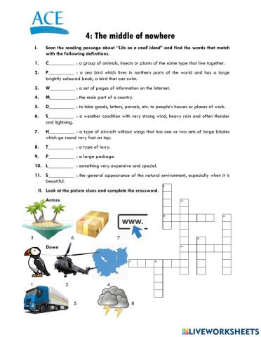 YL7-Lesson 4-Vocabulary