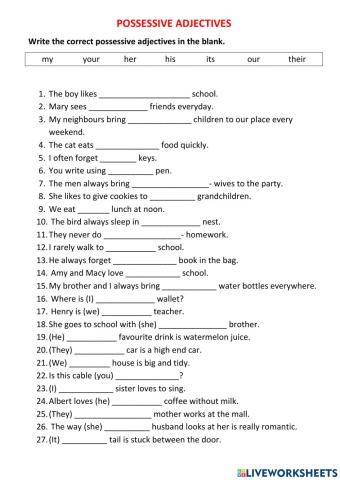 EFC - Possessive Adjectives