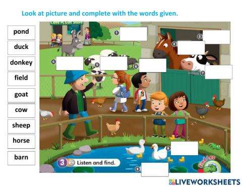 Review 5 - diagnostic week
