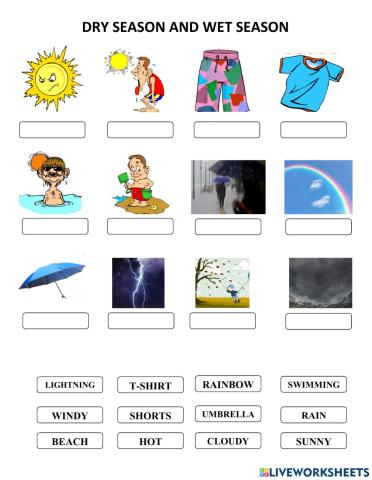 Dry season and wet season