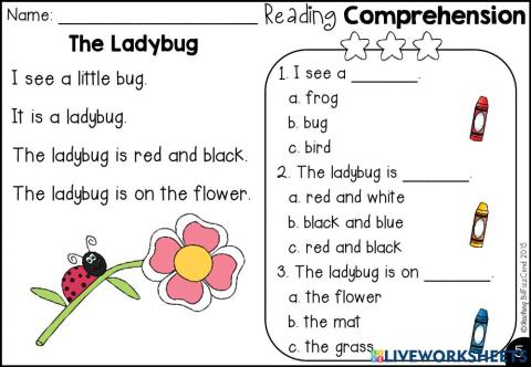 The ladybug