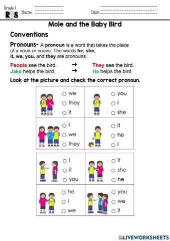 RS Mole and the Baby Bird - Pronouns