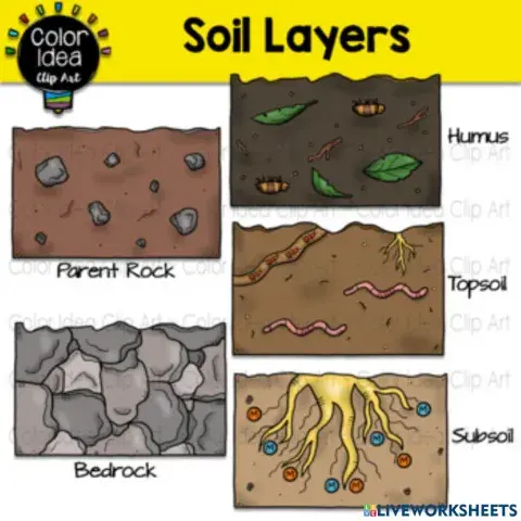 Layers in earth soil